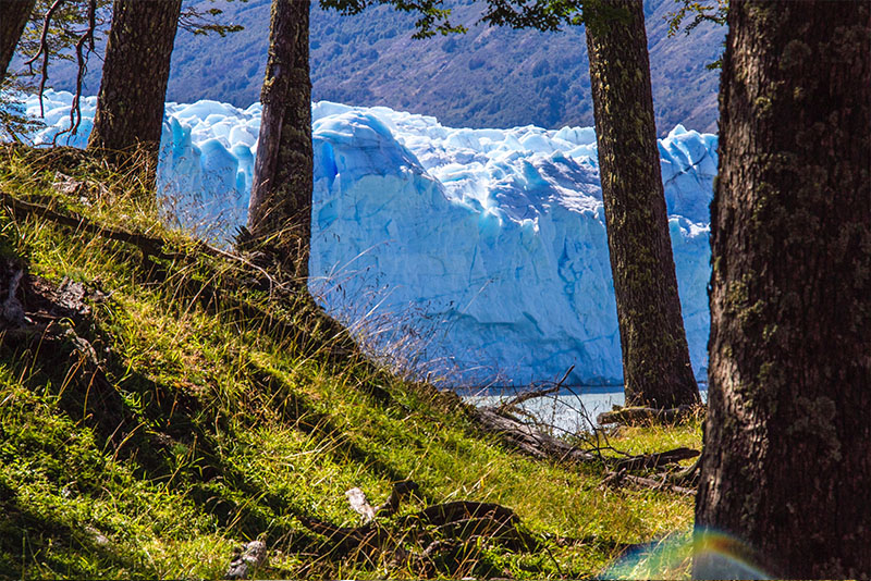 El Calafate Perito Moreno From Woods Experience Chile