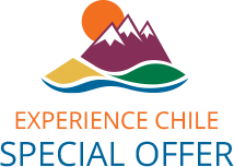 Special Offer Logo