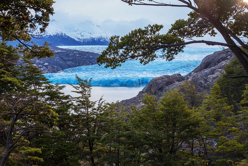 Torres Del Paine Glacier Grey