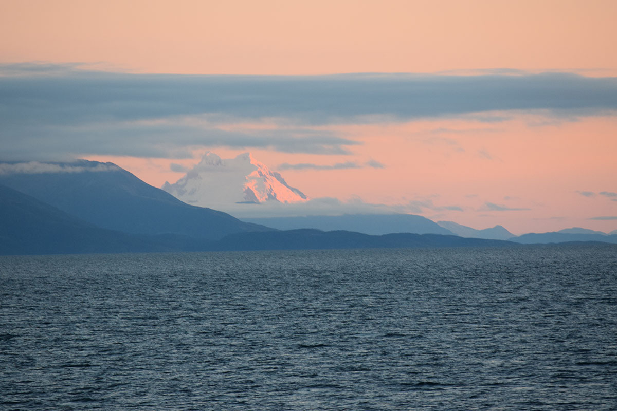 Punta Arenas Whale Watching Landscape