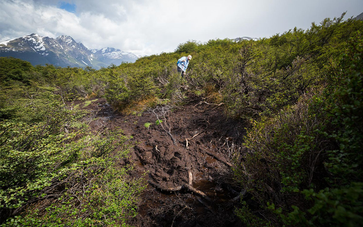 Ushuaia Muddy Cerro Guanaco Trail Experience Chile