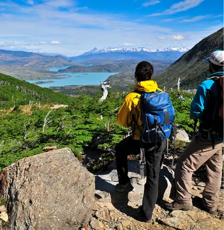 Local W Trek Guide