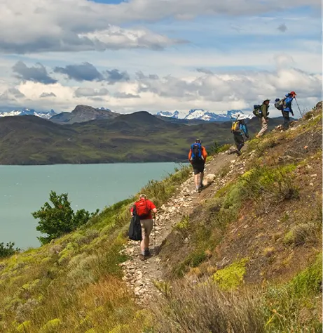 Local W Trek Guide