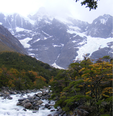 Local W Trek Guide