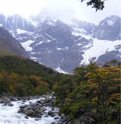 Local W Trek Guide