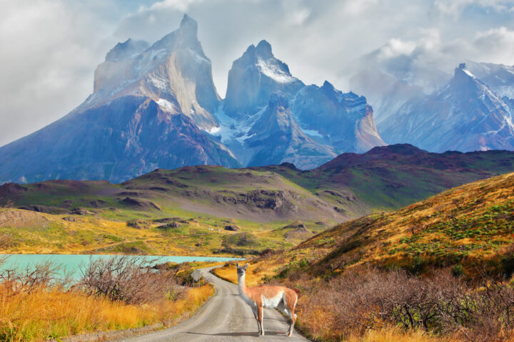 Majestic  Day In Patagonia